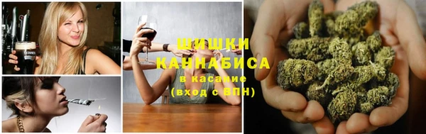 мдпв Зеленодольск