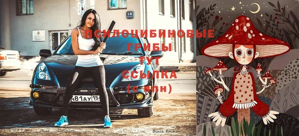 мдпв Зеленодольск