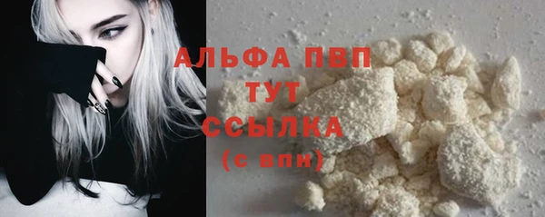 спиды Зеленокумск